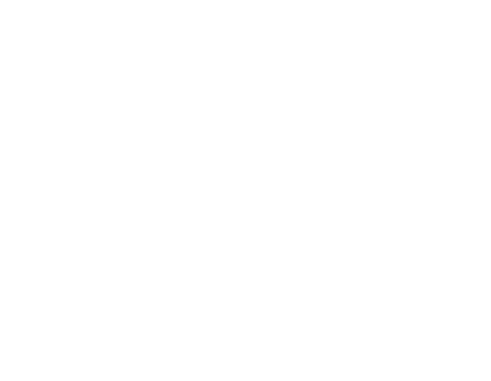Frame 46